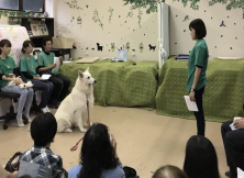 第75回日本アニマルセラピー協会研修会のお知らせ 第75回日本アニマルセラピー協会研修会のお知らせ